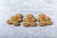 Holiday Gingerbread Cookie